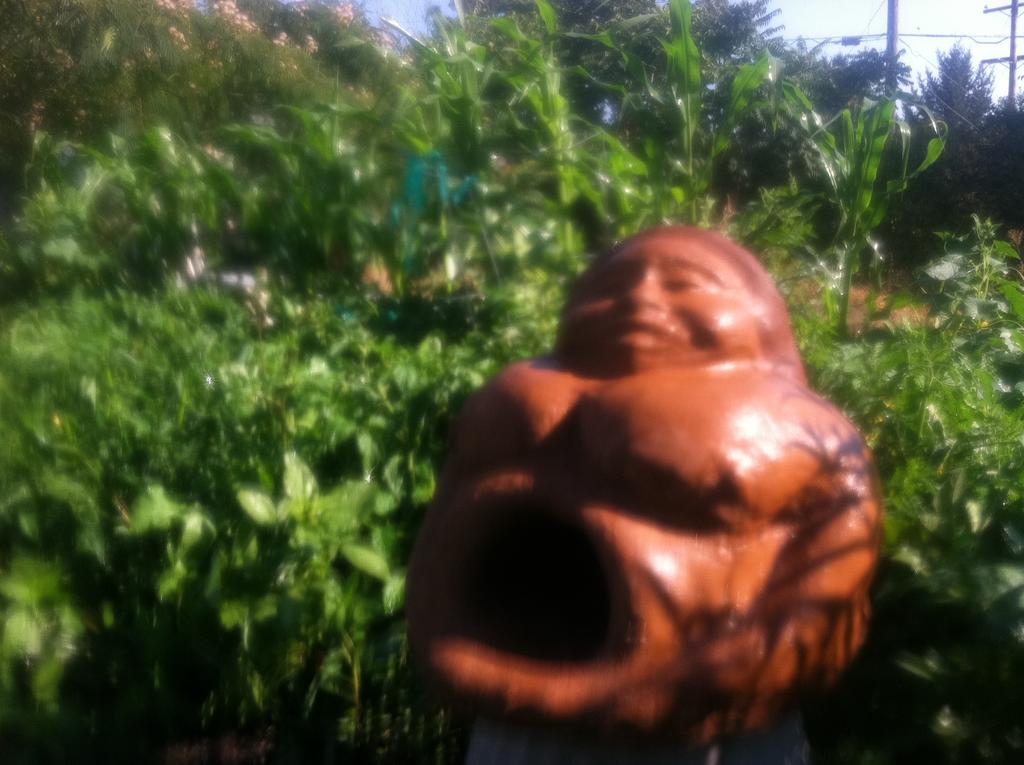 Hobbit Hut Hotel Geyserville Exterior foto